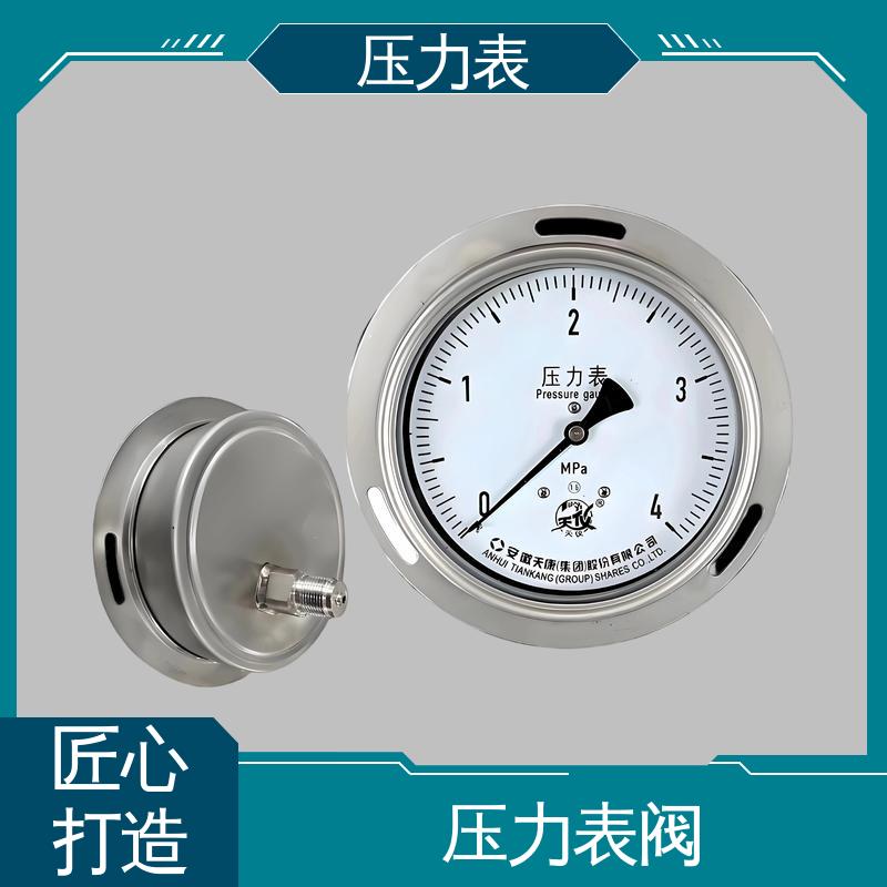 天康 LT系列 压力表型号 测量范围广 实力厂家 支持定制