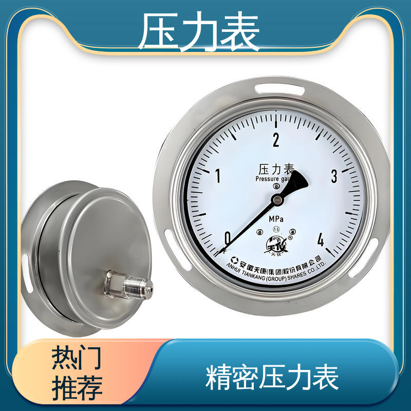 天康 YPF 系列 精密压力表 环境适应性强 源头厂家 品类齐全