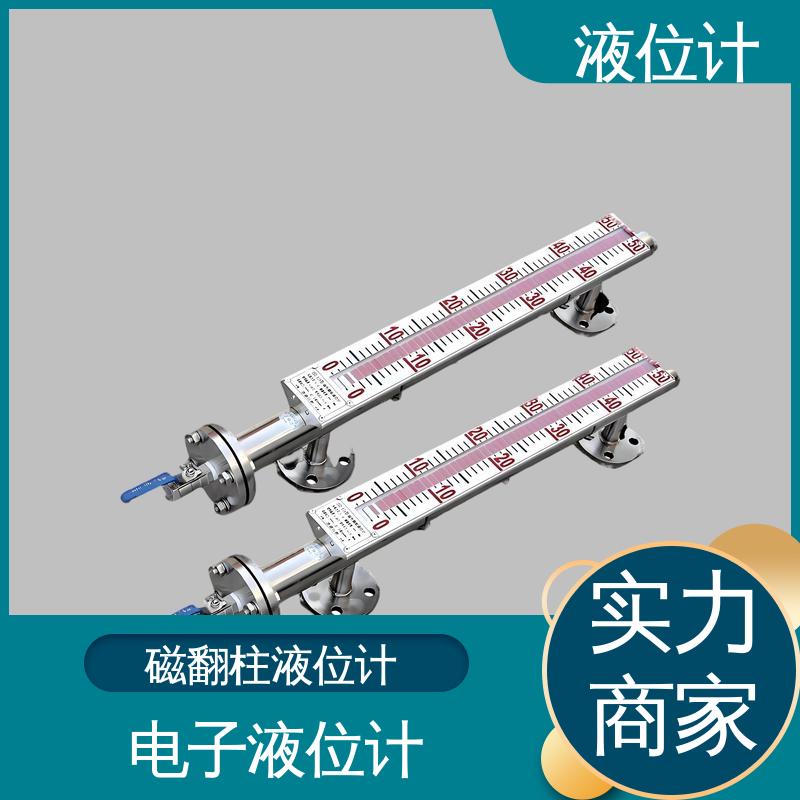 天康 TKWL-1600 磁翻转液位计 实时监测 厂家供应 支持定制