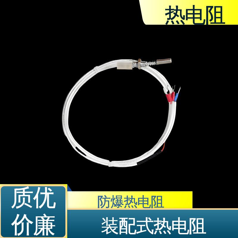 天康 WZP-130 PT200型热电阻 可靠性高 实力厂家 支持定制
