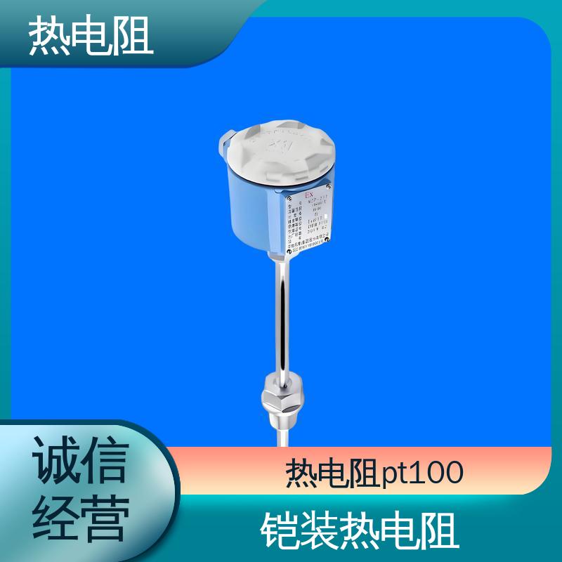 天康 WZP-231 耐磨热电阻 可靠性高 实力厂家 支持定制