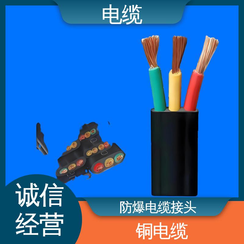 天康 YGCP 防爆电缆接头 多样化的产品线 实力工厂 支持定制