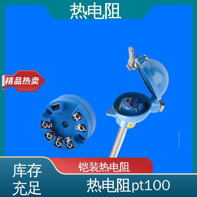 天康 WZP-231 pt100热电阻 响应速度快 厂家供应 现货充足
