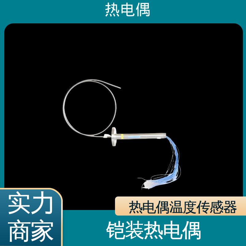 天康 WRNK-391 N型热电偶 测温范围宽 实力厂家 支持定制