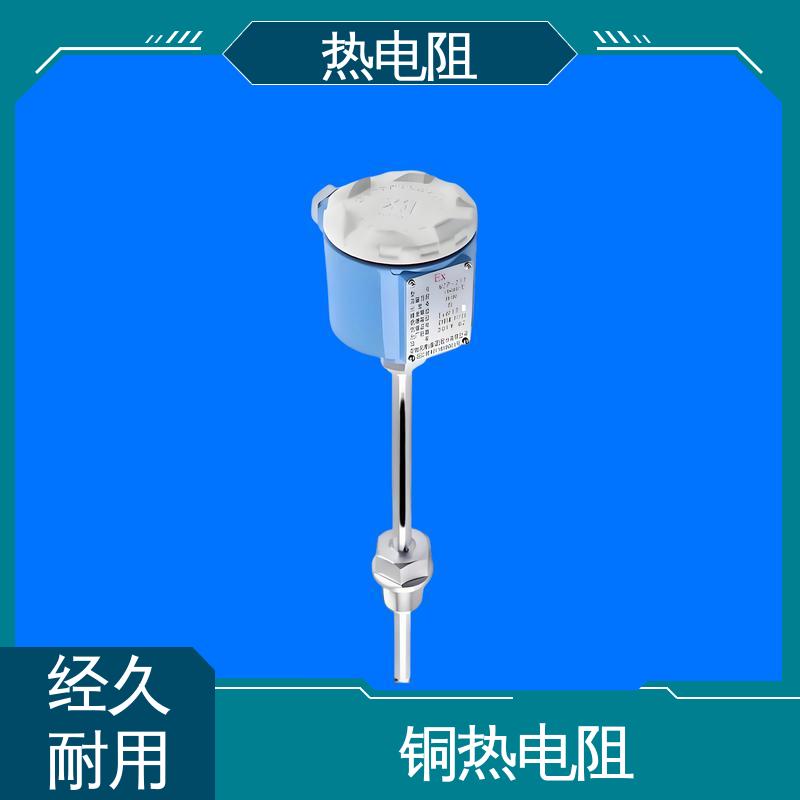 天康 WZP-130 铂热电阻 响应速度快 实力厂家 支持定制
