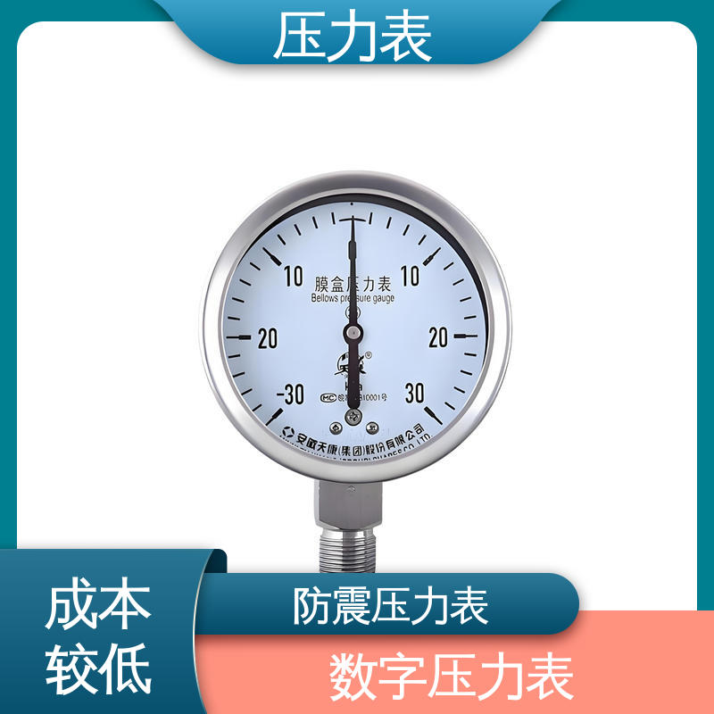 天康 Y-B 系列 精密数字压力表 经济性佳 类型多样 源头厂家 品类齐全