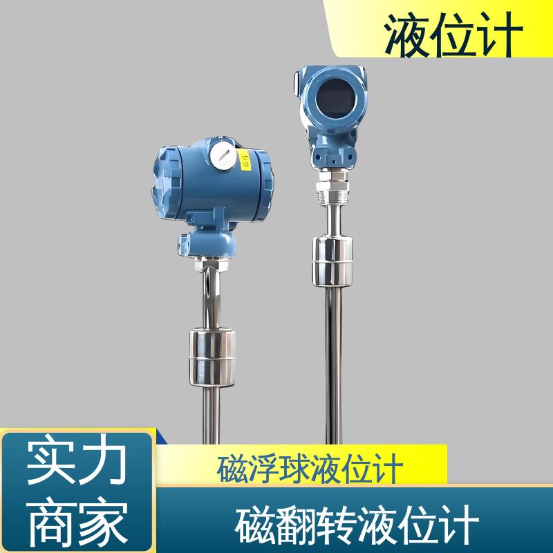 天康 3051L型 伺服液位计 读数方便直观 厂家制造 来图定制