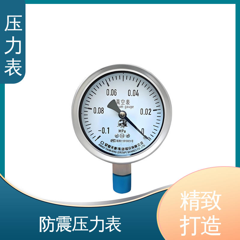 天康 LT系列 防震压力表 功能扩展性 实力厂家 支持定制