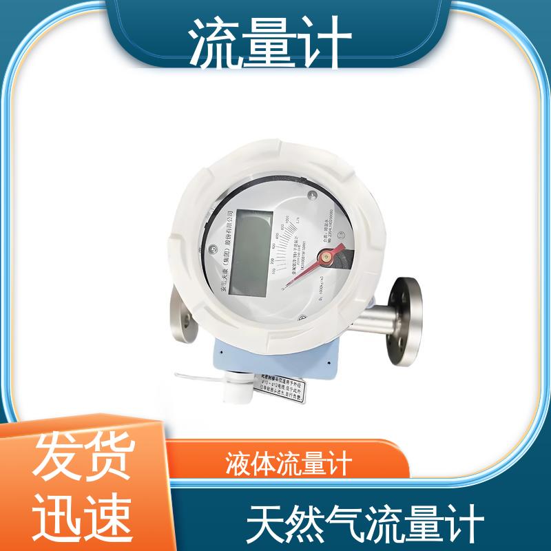 天康 TK1100 热式质量流量计 满足不同工况 源头厂家 来图定制