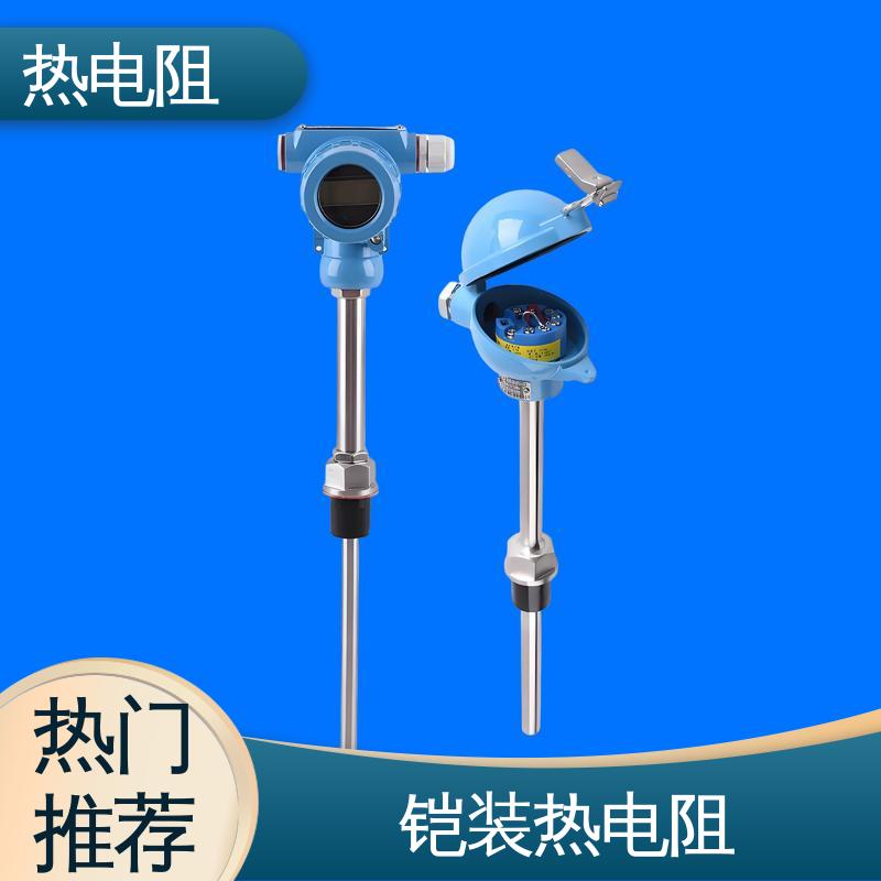 天康 WZP-131 双支热电阻 可靠性高 厂家供应 现货充足