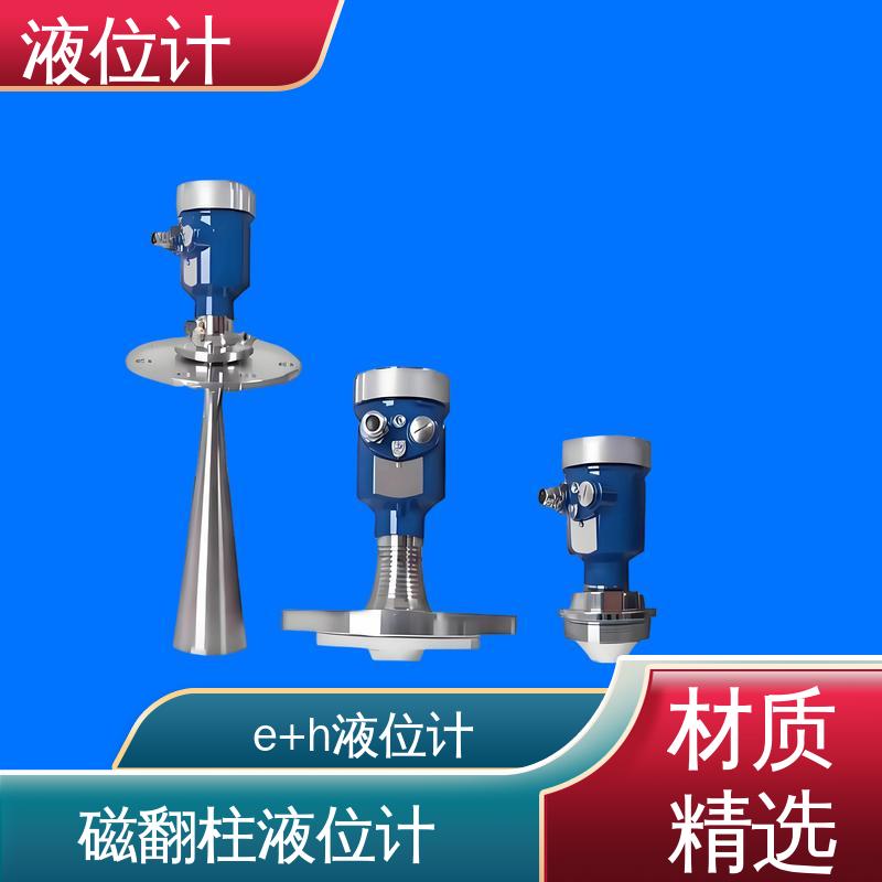 天康 TKWL-1600 磁性浮子液位计 实时监测 厂家制造 来图定制