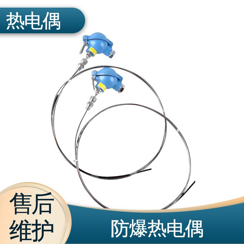 天康 WRNG-430 铂铑热电偶 耐用性强 源头厂家 来图定制