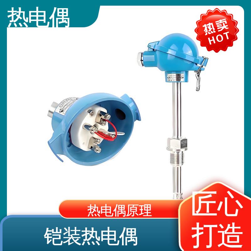 天康 WRNK-391 热电偶型号 耐用性强 实力厂家 支持定制