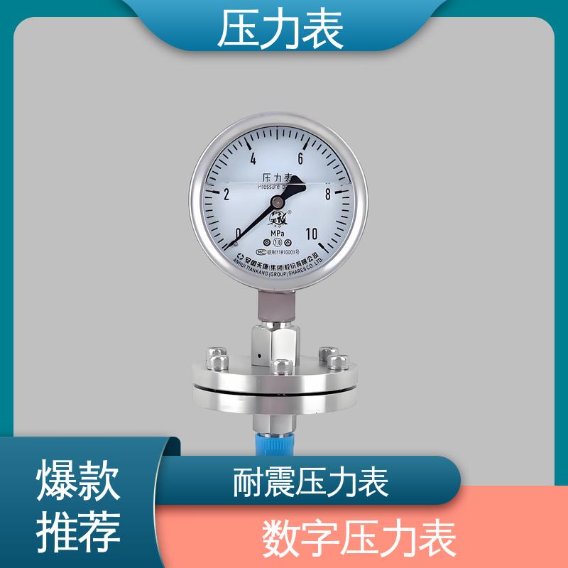 天康 LT系列 数字压力表 安装便捷 维护简单 源头厂家 品类齐全