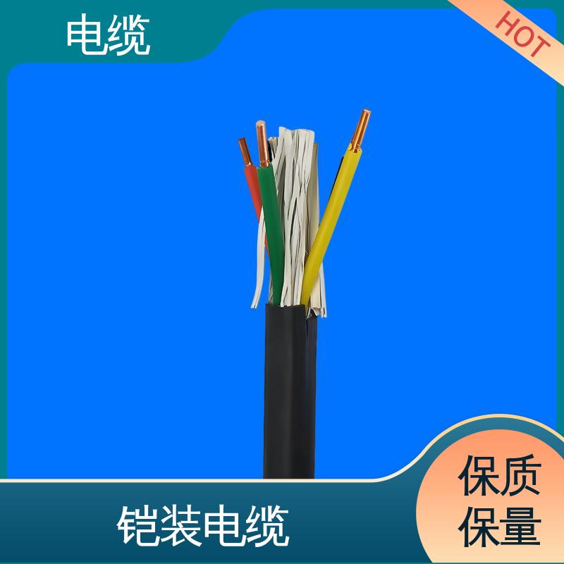 天康 YGCP 带铠电缆 科学严谨的工艺 规模生产 来图定制
