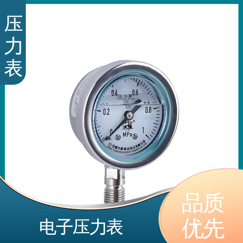 天康 YPF 系列 精密压力表 经济性佳 类型多样 实力厂家 支持定制