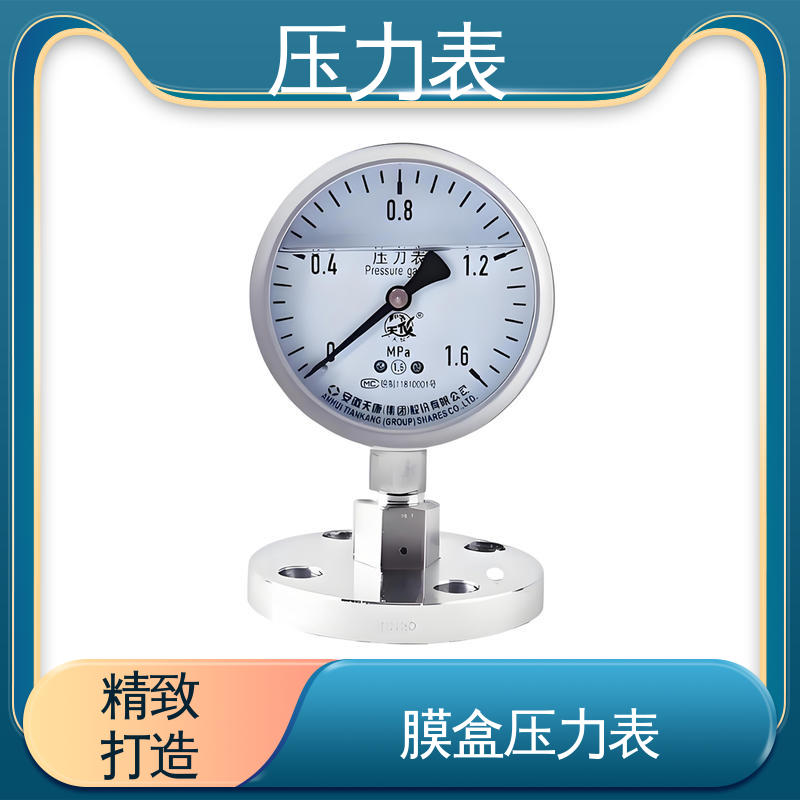 天康 YPF 系列 电子压力表 测量范围广 实力厂家 支持定制