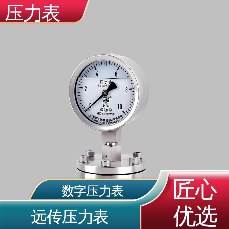 天康 LT系列 膜片压力表 经济性佳 类型多样 源头厂家 品类齐全