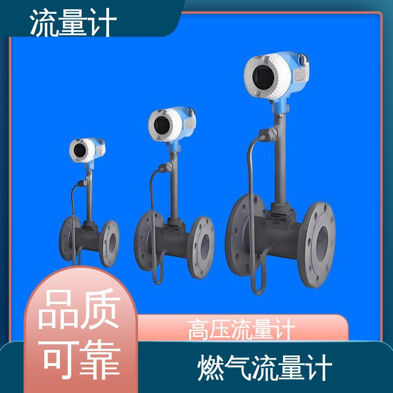 天康 TK2100 高温涡街流量计 抗干扰能力强 源头厂家 来图定制