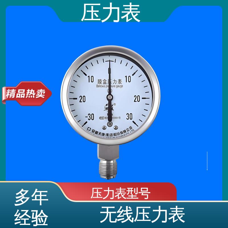天康 Y-B 系列 精密压力表 功能扩展性 实力厂家 支持定制