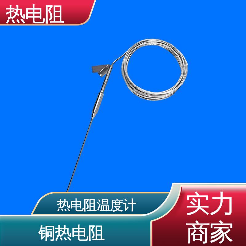 天康 WZP-131 耐磨热电阻 输出信号大 厂家供应 现货充足