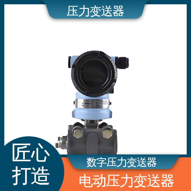 天康 TKA110A 智能型压力变送器 强环境适应性 厂家生产 支持定制