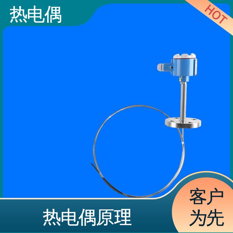 天康 WRNK2-391 耐腐蚀热电偶 体积小 重量轻 源头厂家 来图定制