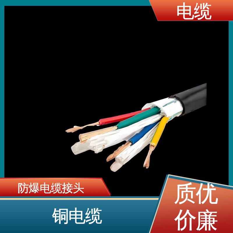 天康 YGCR 防爆电缆接头 先进技术与工艺 实力工厂 支持定制