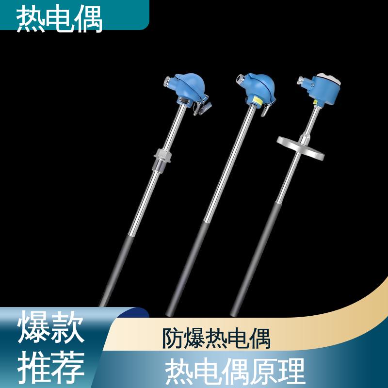 天康 WRNG-430 热电偶 体积小 重量轻 实力厂家 支持定制