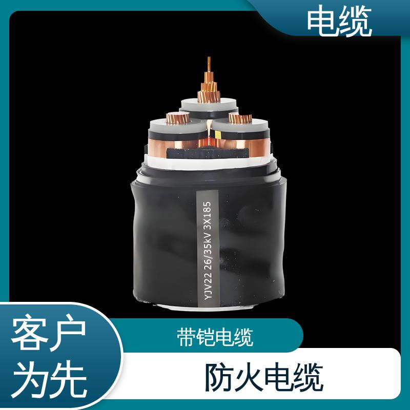 天康 YGC22 铠装电缆 广泛的市场覆盖 实力工厂 支持定制