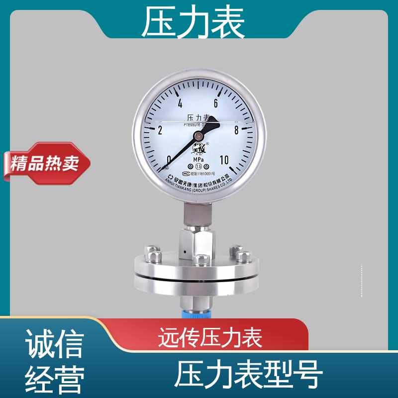 天康 LT系列 电接点压力表 直观性强 可靠性高 实力厂家 支持定制