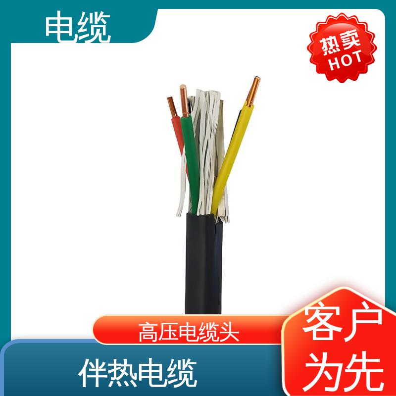 天康 YGC22 高压电缆头 质量管理严格 规模生产 来图定制