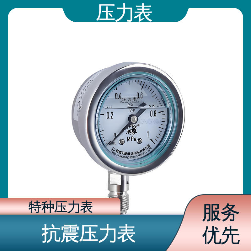 天康 YPF 系列 径向压力表 安装便捷 维护简单 实力厂家 支持定制