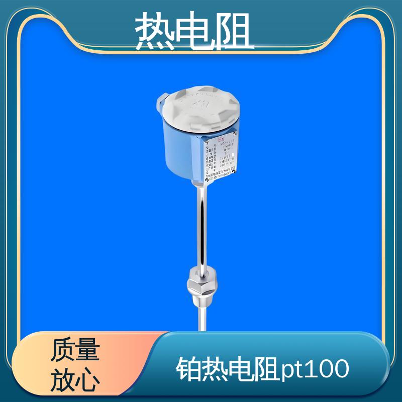 天康 WZP-130 热电阻pt100 安装方便 实力厂家 支持定制