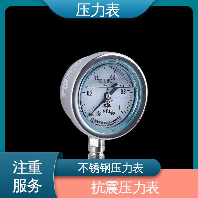 天康 LT系列 气缸压力表 安装便捷 维护简单 源头厂家 品类齐全