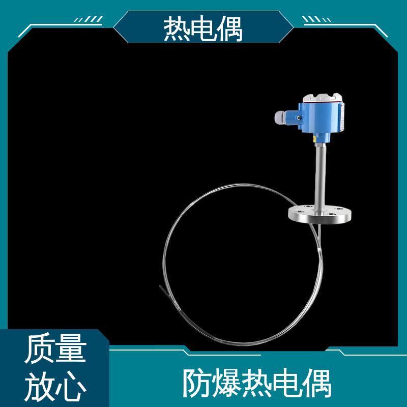 天康 WRNK2-391 耐磨阻漏热电偶 测量精度高 实力厂家 支持定制