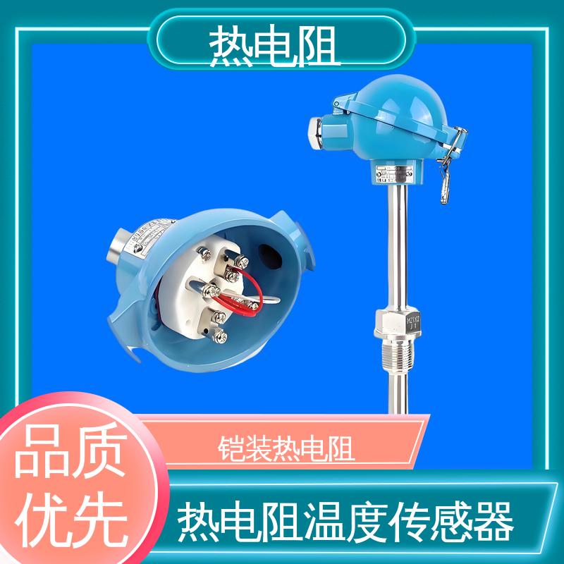天康 WZP-130 热电阻传感器 无需参考点 实力厂家 支持定制