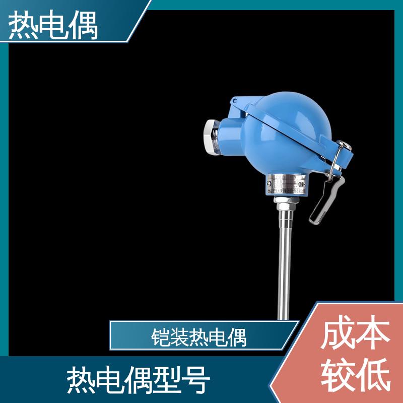 天康 WRNK2-391 热电偶型号 适合极端环境 源头厂家 来图定制