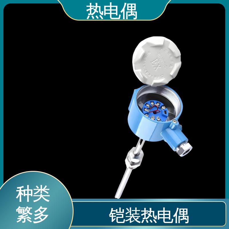 天康 WRNG-430 热电偶温度计 响应速度快 源头厂家 来图定制