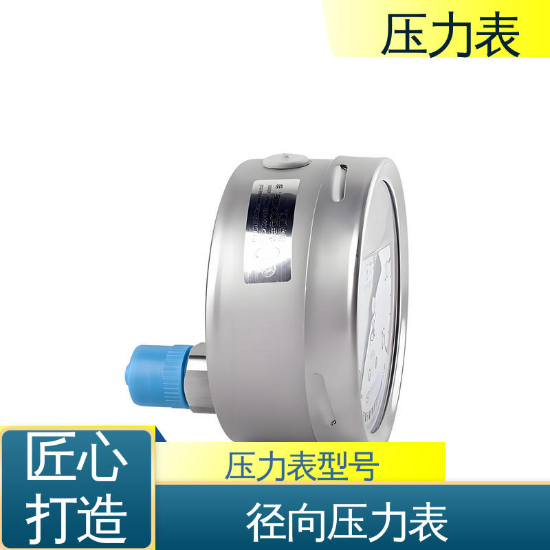 天康 Y-B 系列 压力表型号 直观性强 可靠性高 源头厂家 品类齐全