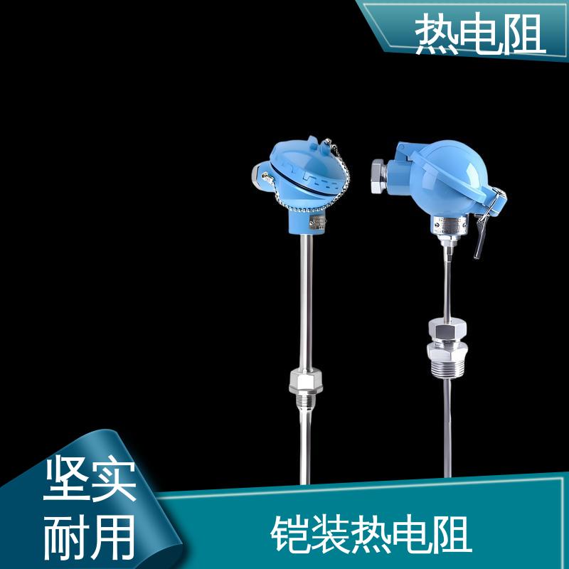 天康 WZP-131 热电阻传感器 可靠性高 实力厂家 支持定制