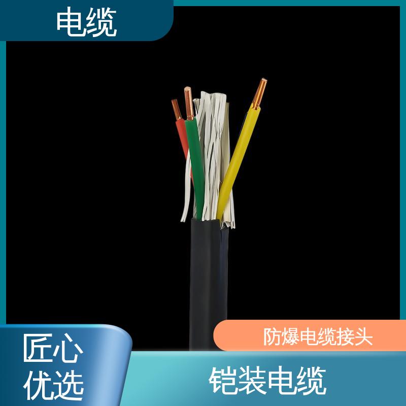 天康 YGC22 带铠电缆 科学严谨的工艺 规模生产 来图定制