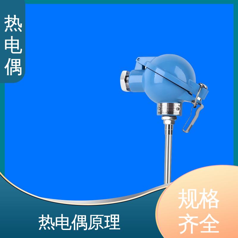 天康 WRNK-391 热电偶型号 适合极端环境 源头厂家 来图定制