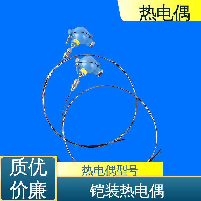 天康 WRNK2-391 钨铼热电偶 适合极端环境 源头厂家 来图定制