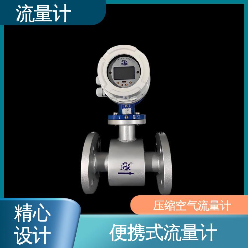 天康 TK2100 气体用质量流量计 耐压等级高 源头厂家 来图定制
