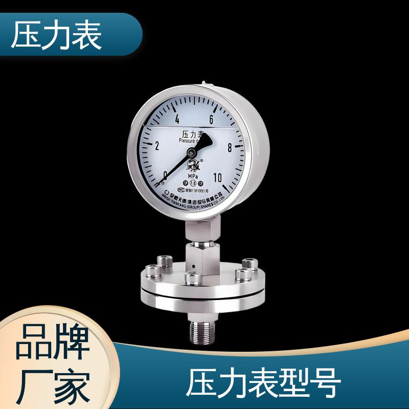 天康 Y-M 系列 蒸汽压力表 测量范围广 源头厂家 品类齐全