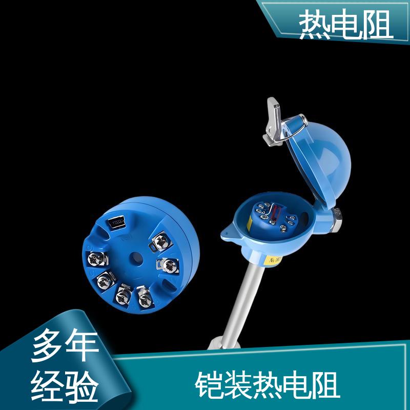 天康 WZP-231 双支热电阻 可靠性高 实力厂家 支持定制