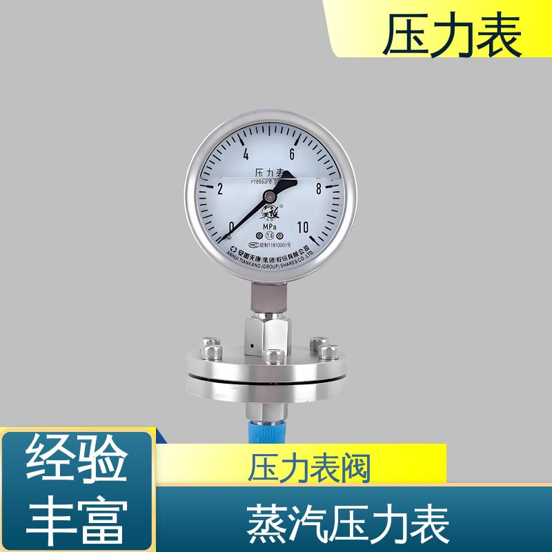 天康 Y-B 系列 防震压力表 直观性强 可靠性高 实力厂家 支持定制