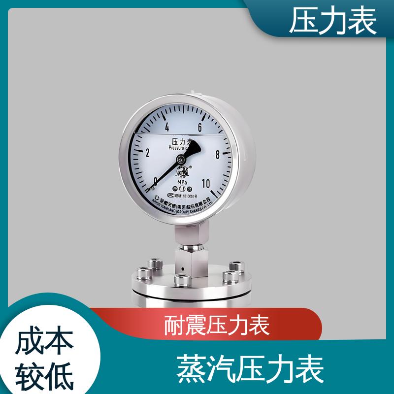 天康 LT系列 隔膜压力表 测量范围广 实力厂家 支持定制