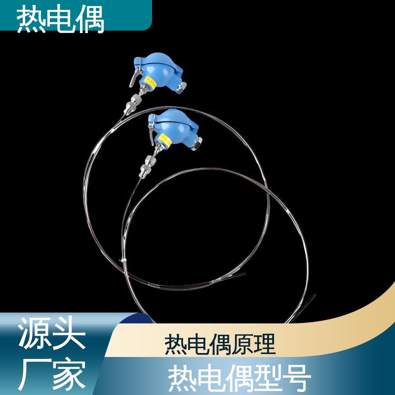 天康 WRNK-391 耐腐蚀热电偶 响应速度快 源头厂家 来图定制